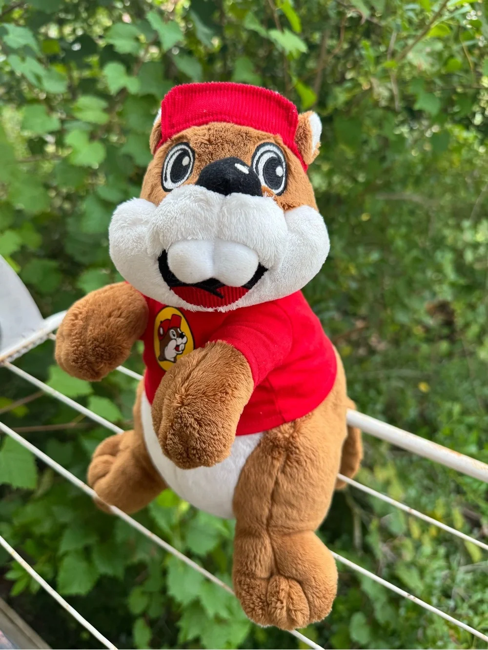 Buc-ees buc ee